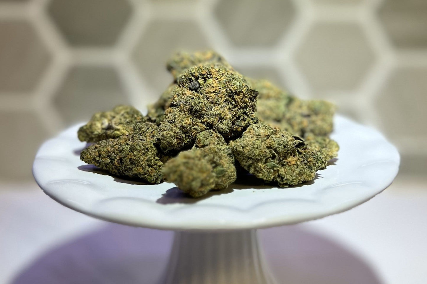 Galactic Jack Indoor