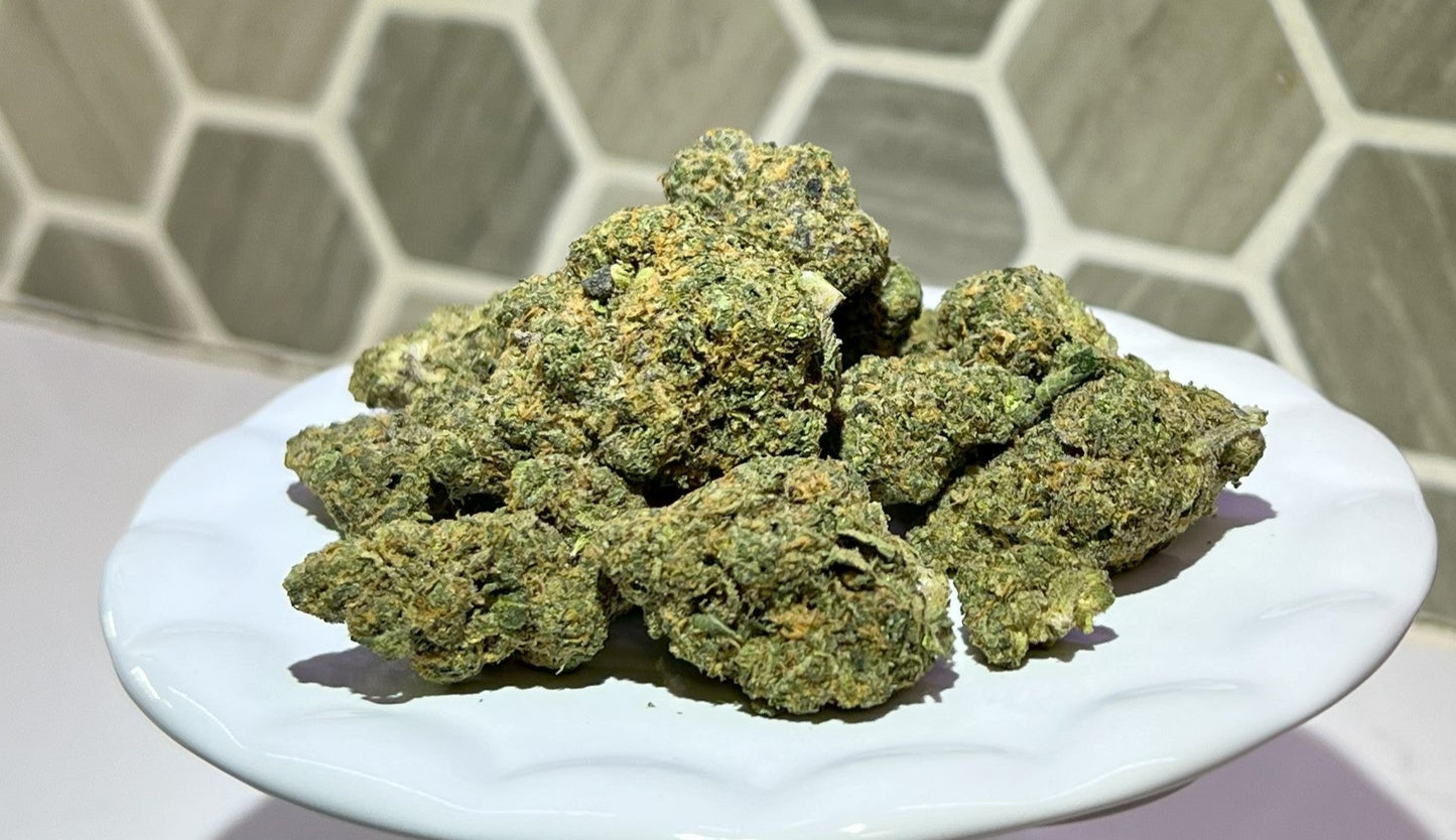 Galactic Jack Indoor