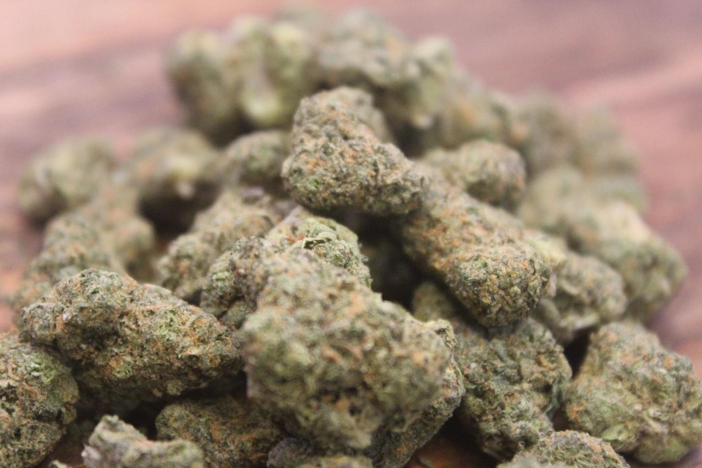 Galactic Jack Indoor