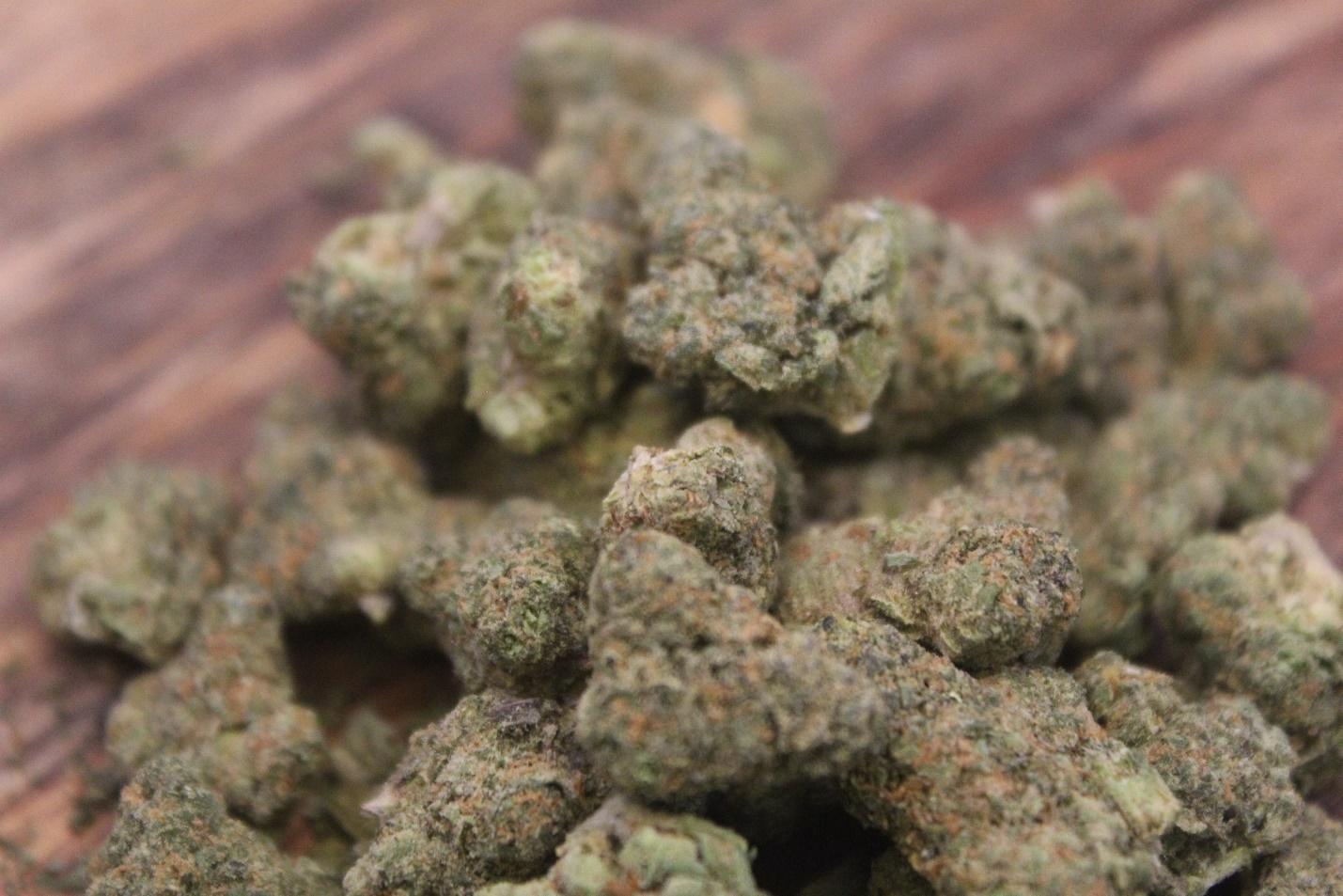 Galactic Jack Indoor