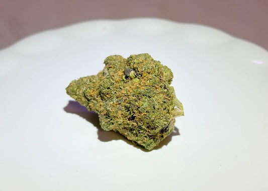 Galactic Jack Indoor