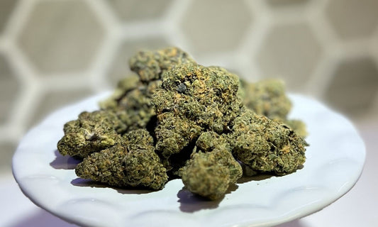 Galactic Jack Indoor