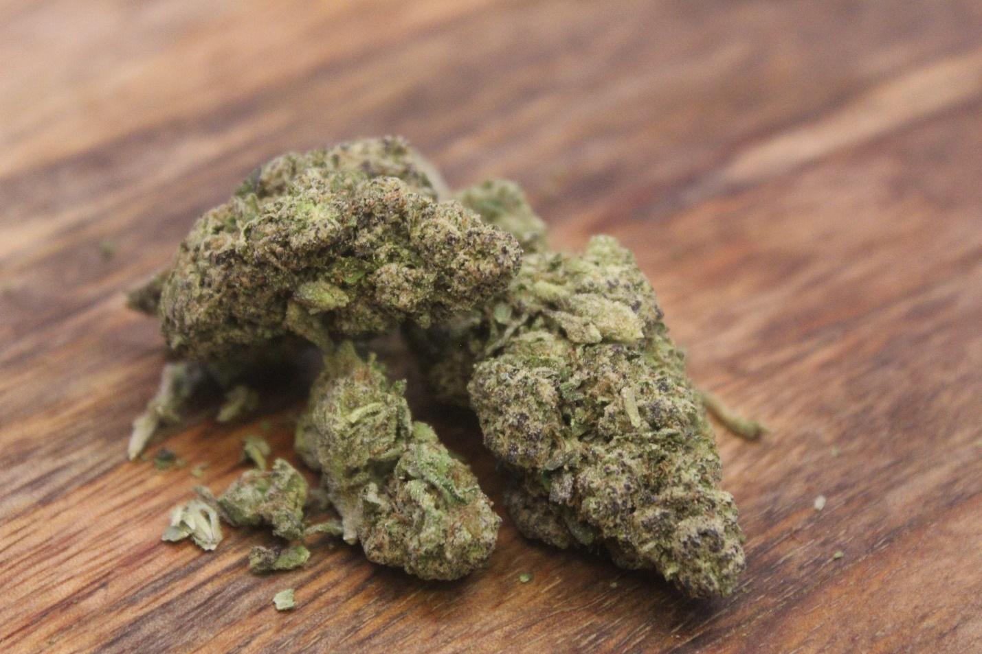 Mimosa